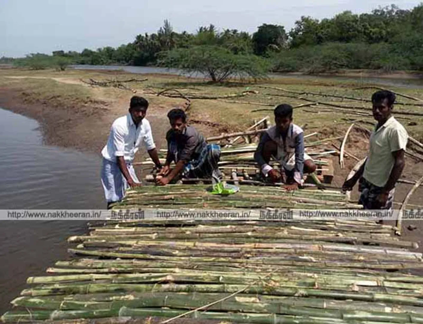 Young people who built the Bamboo Bridge in the river!